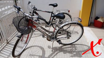 €90/each - Women's and men's bikes - offer
Women's and men's bikes - offer
€90 / each
